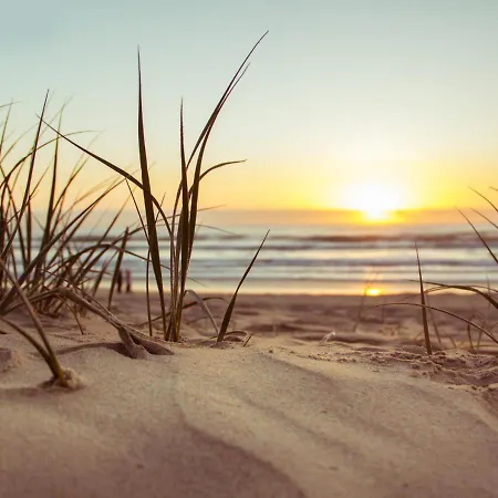 Z Widokiem Na Port - Visitopl