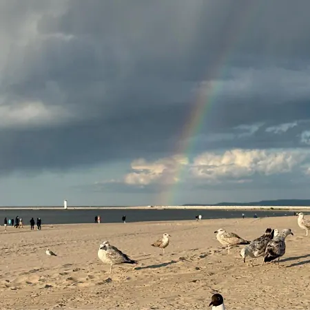 Z Widokiem Na Port - Visitopl