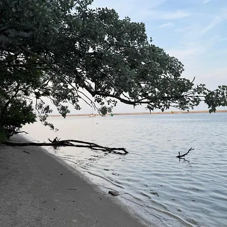 Z Widokiem Na Port - Visitopl *