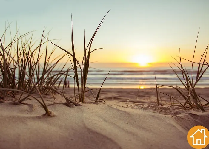 Z Widokiem Na Port - Visitopl