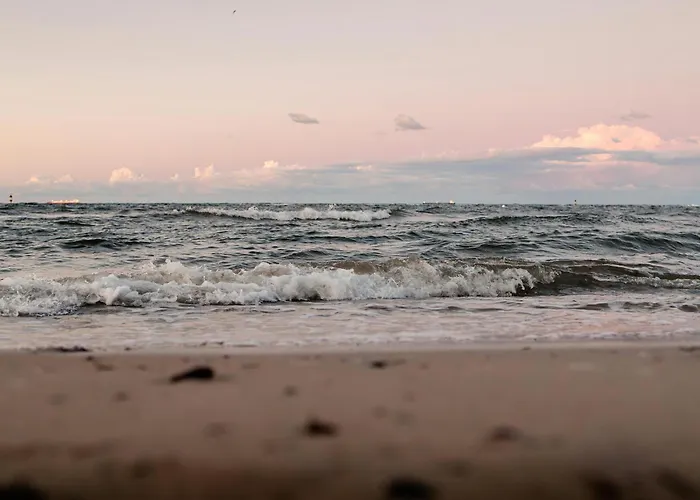 Z Widokiem Na Port - Visitopl *